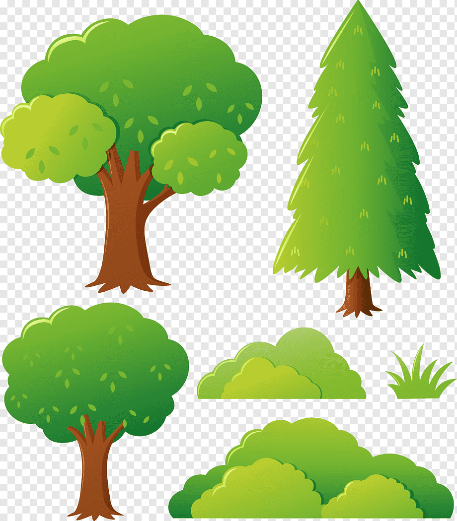 Нарисовать дерево