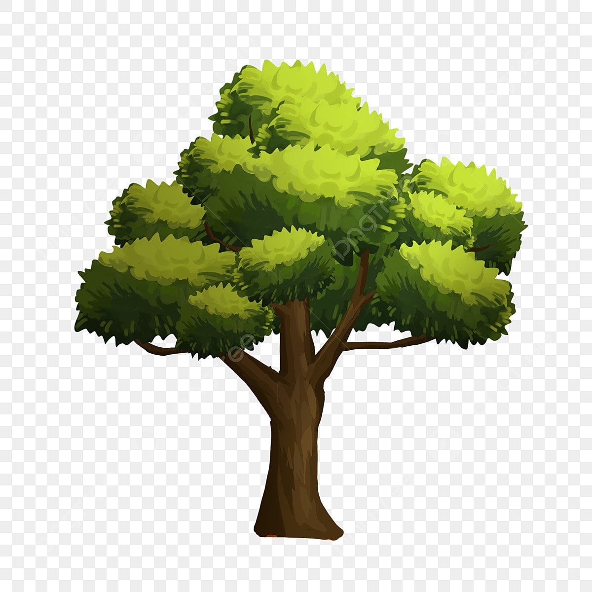 Лес клипарт