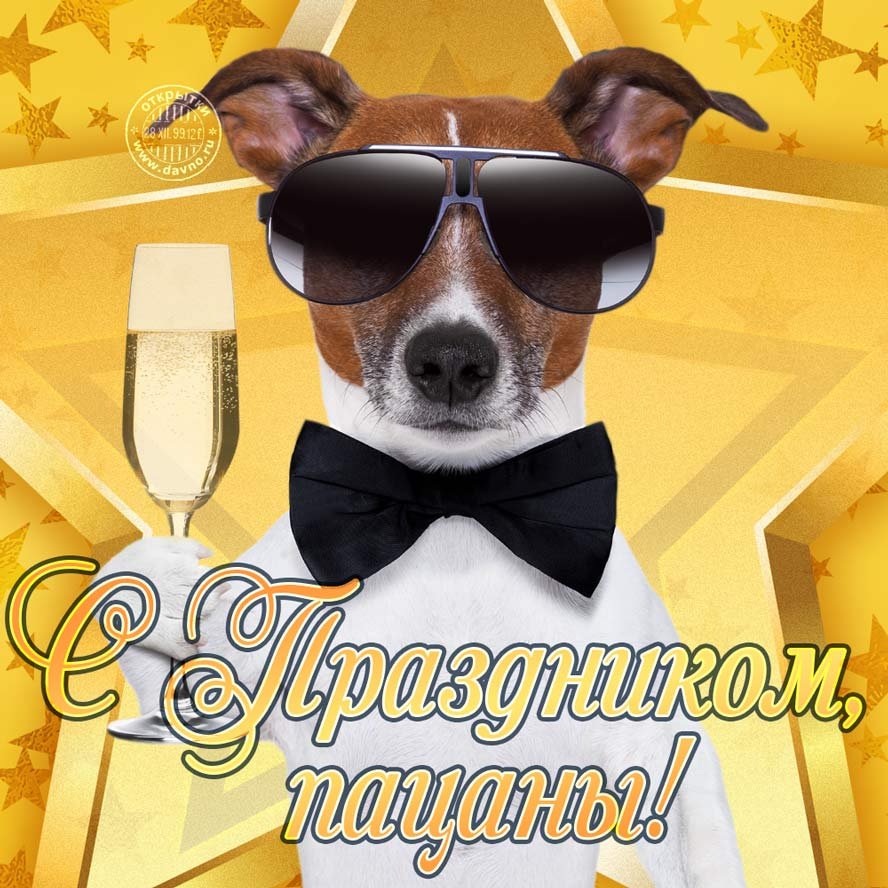 Собаки поздравляют с 23 февраля