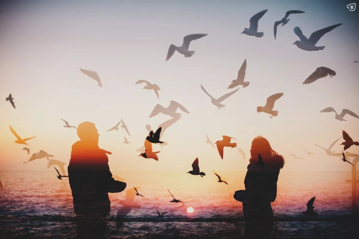 Отпускаю свою любовь