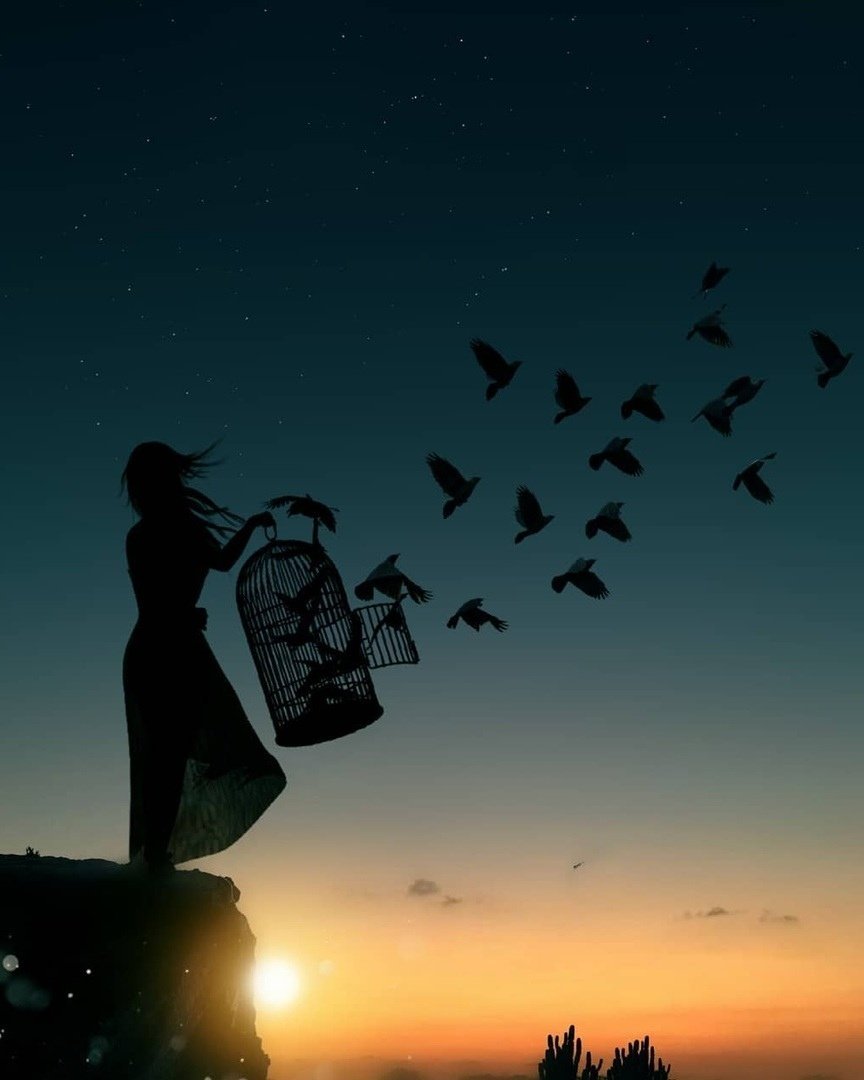 Выпустить птицу из клетки