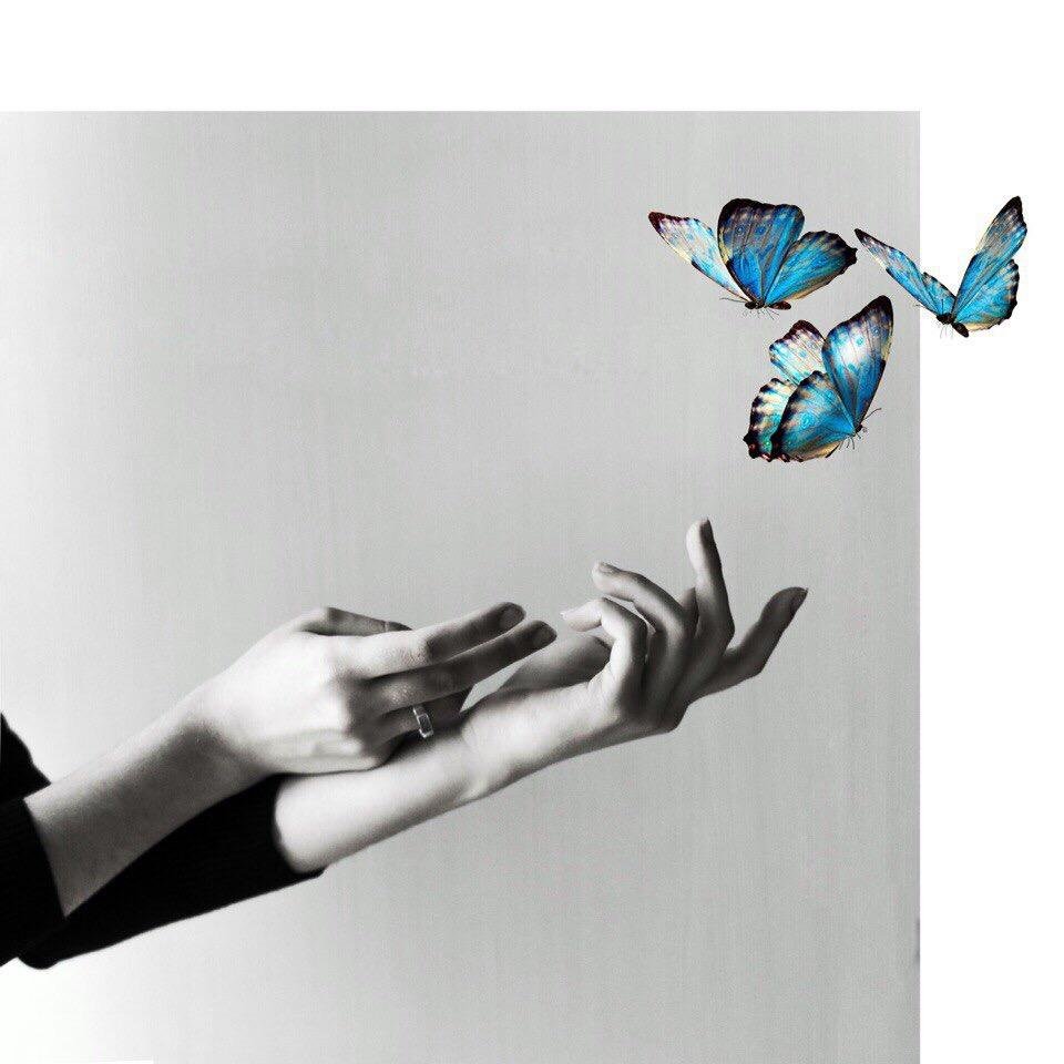 Отпуская бабочку