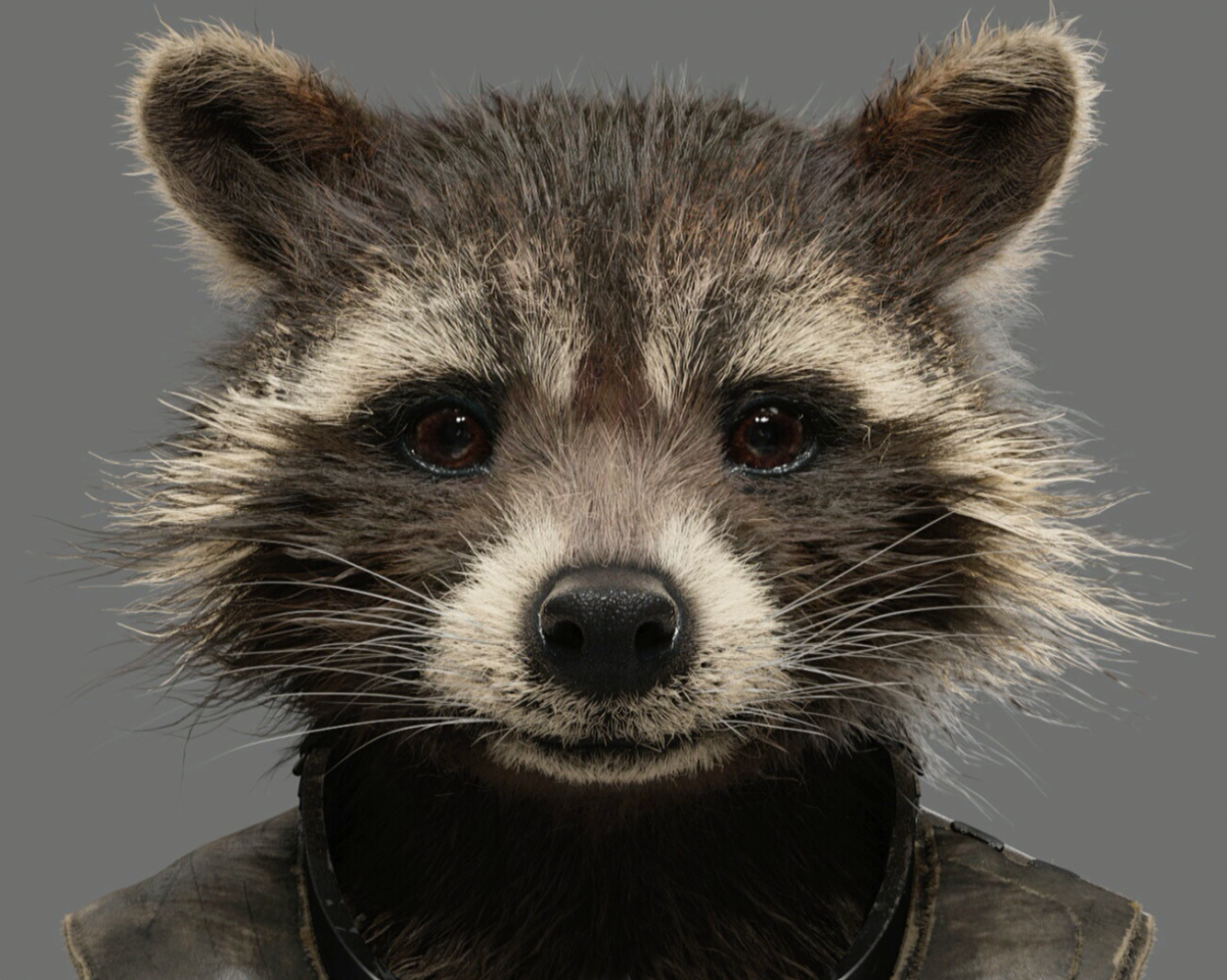 Наклейка я енот а ты нет