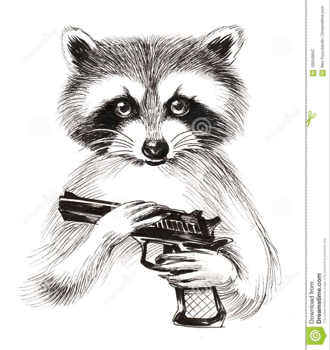 Енот рисунок для срисовки
