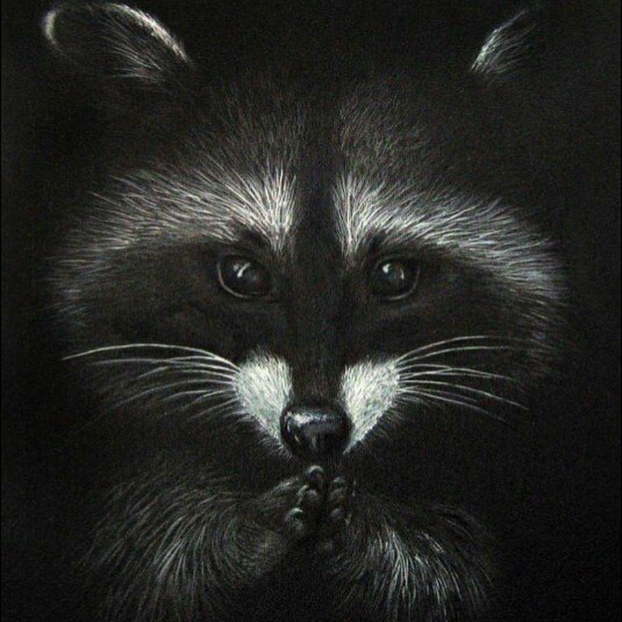 Стилизованный енот