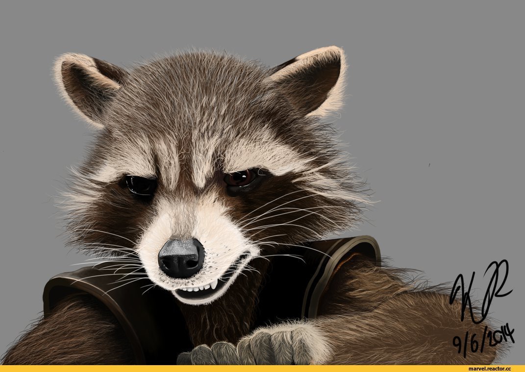 Силуэт енота морда