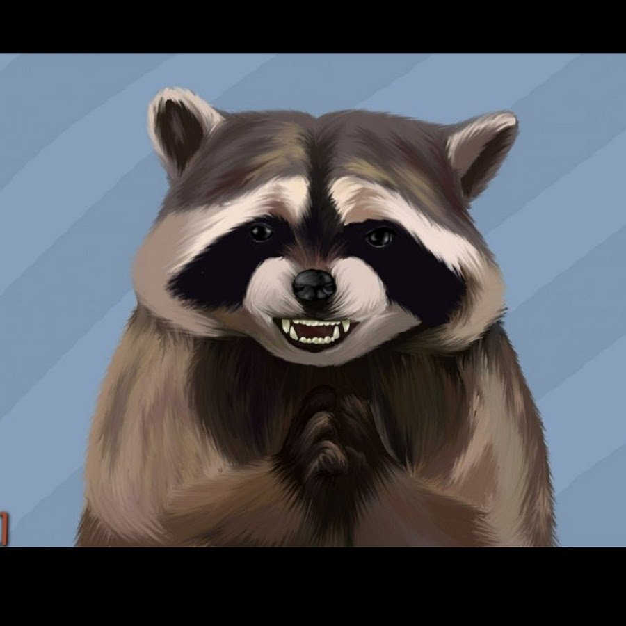 Милый енот арт
