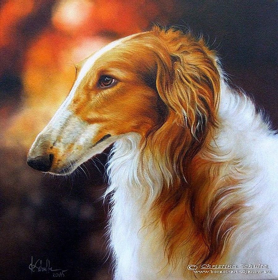 Borzoi portrait