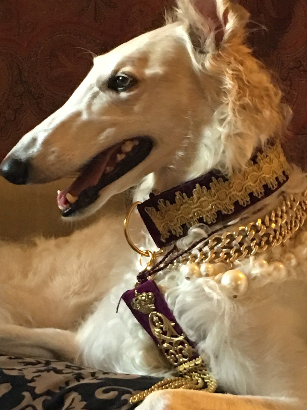 Русская псовая борзая Аристократ