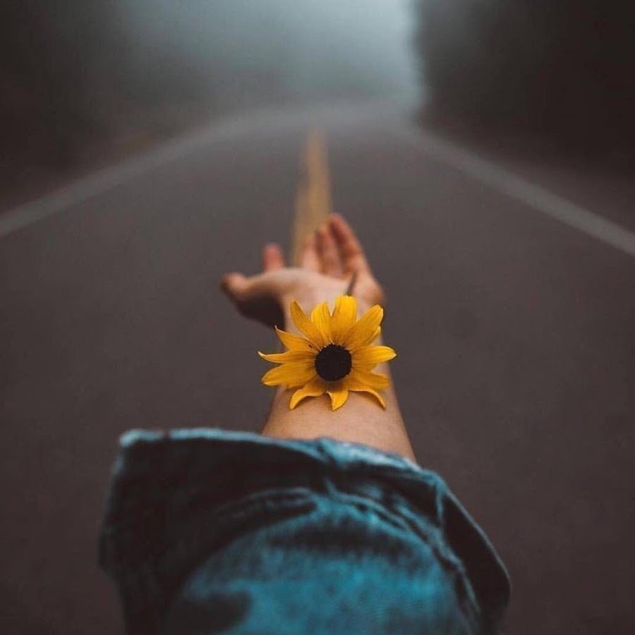 Ловить счастье