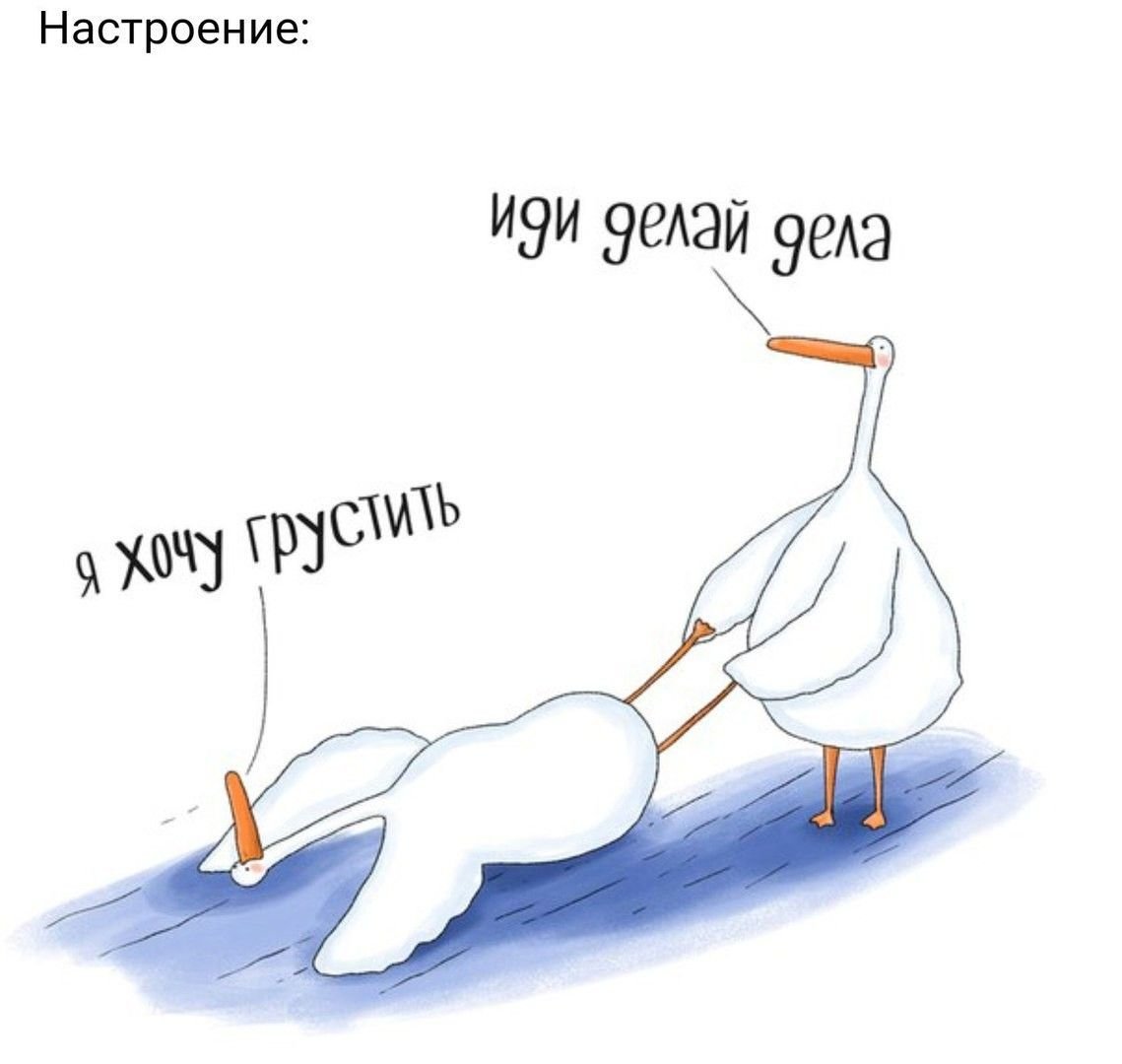 Солнце воздух пофигизм укрепляет организм