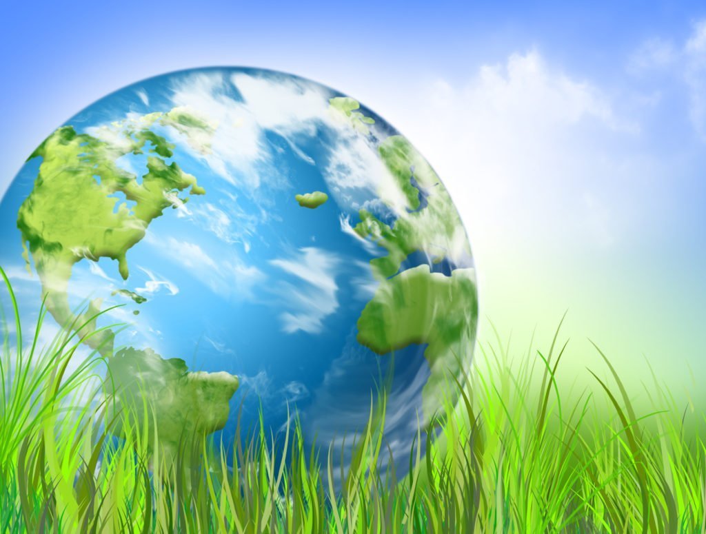Экология фон