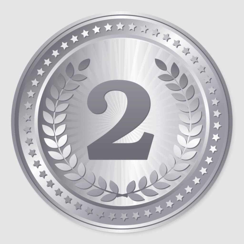 2 Место серебро