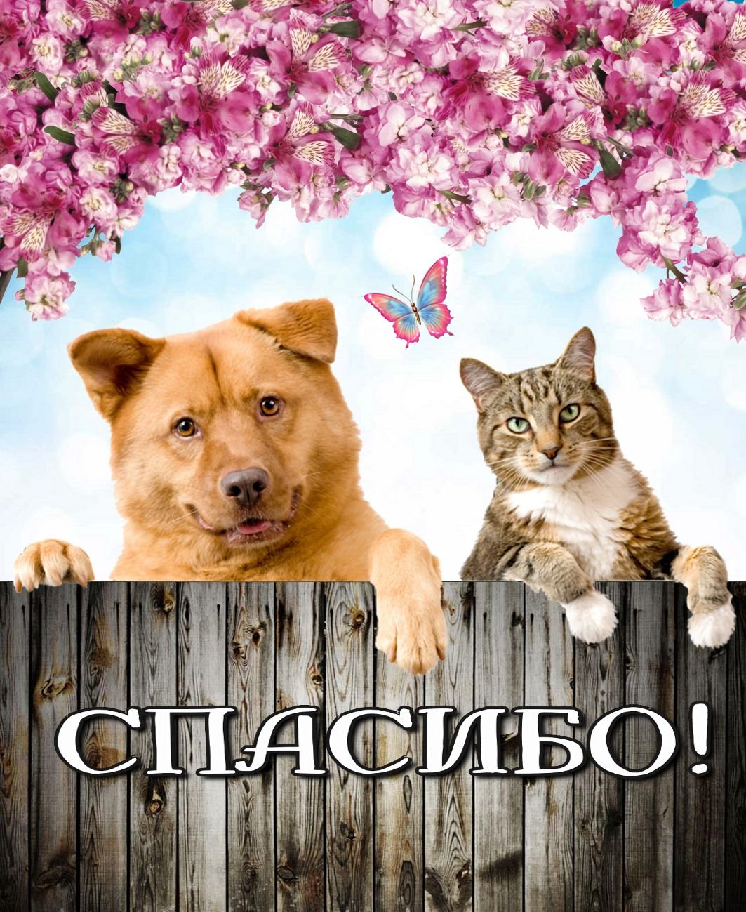 Спасибо братишка