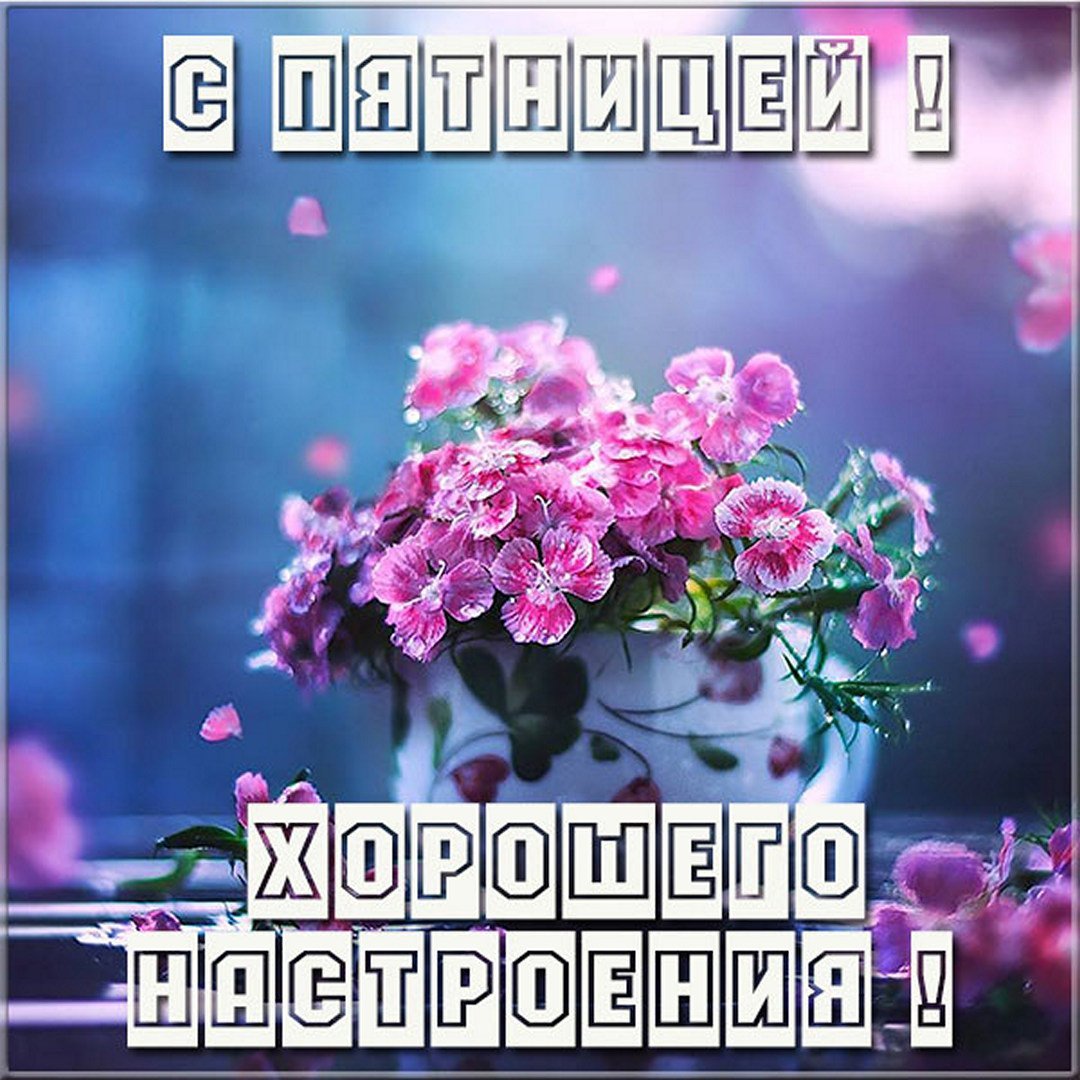 Пятничный вечер картинки