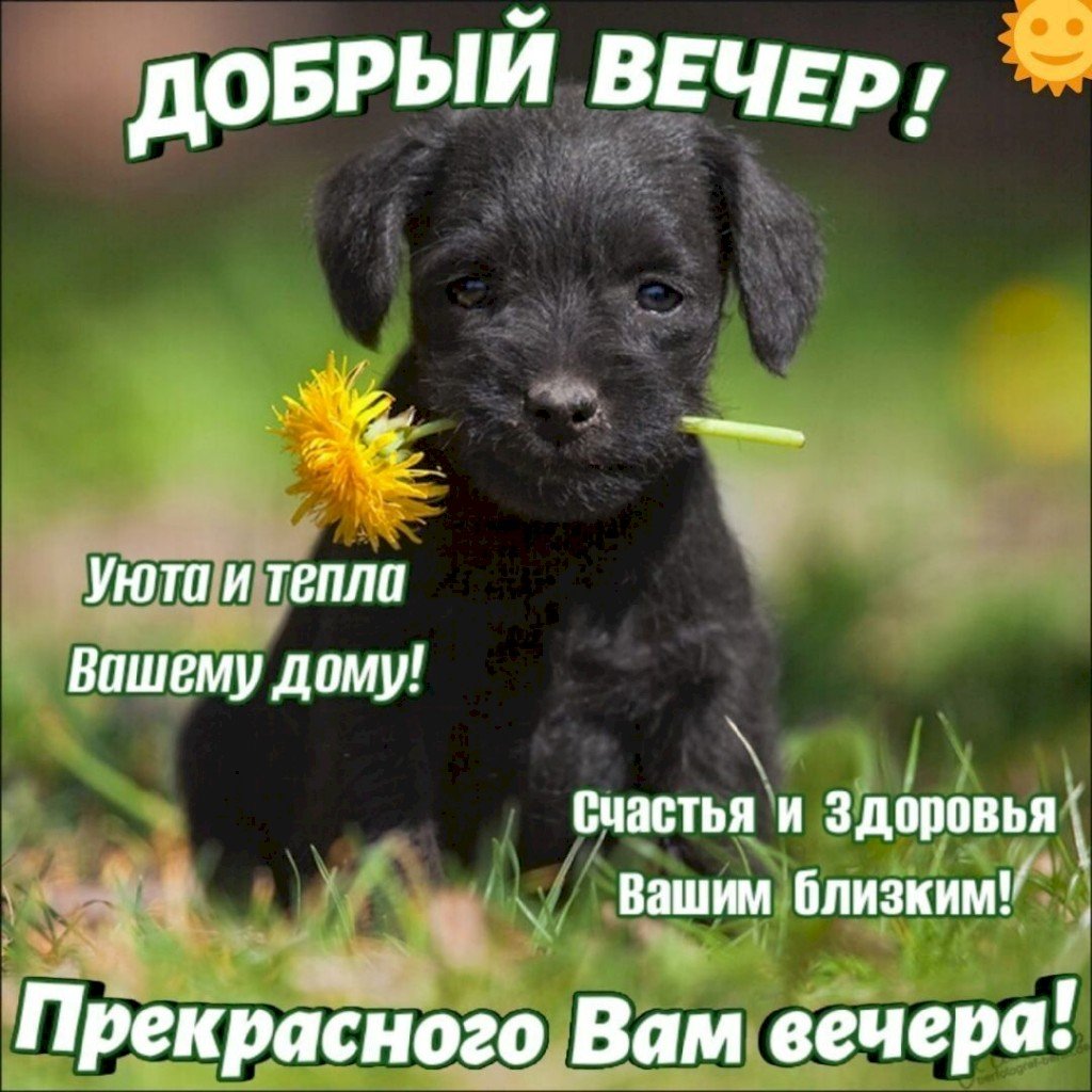 Добрый вечер пятницы