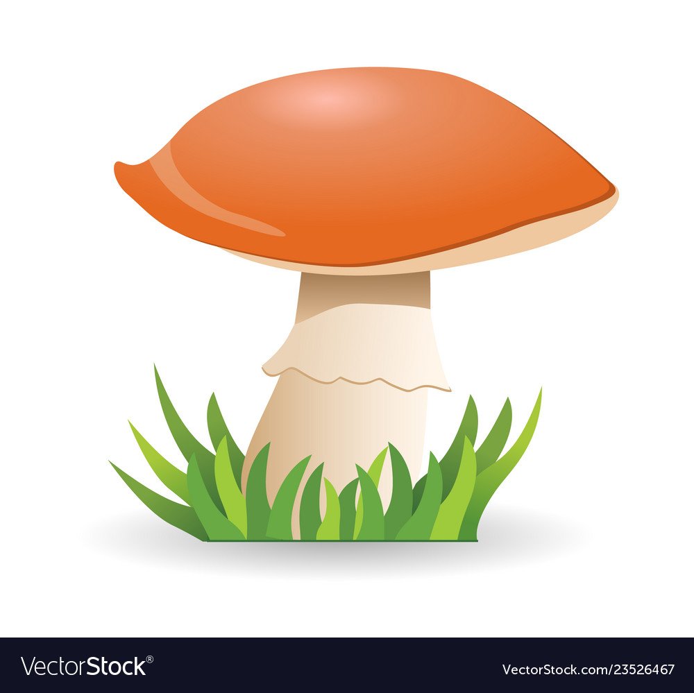 Гриб подосиновик раскраска для детей