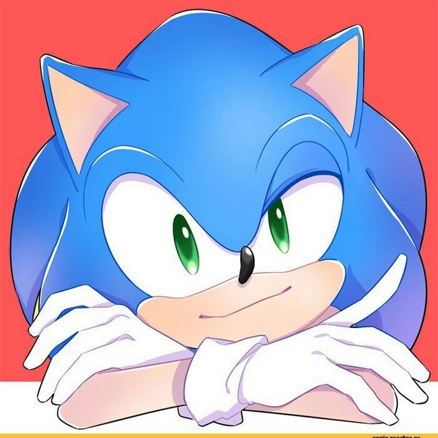 Ёж Соник Икс