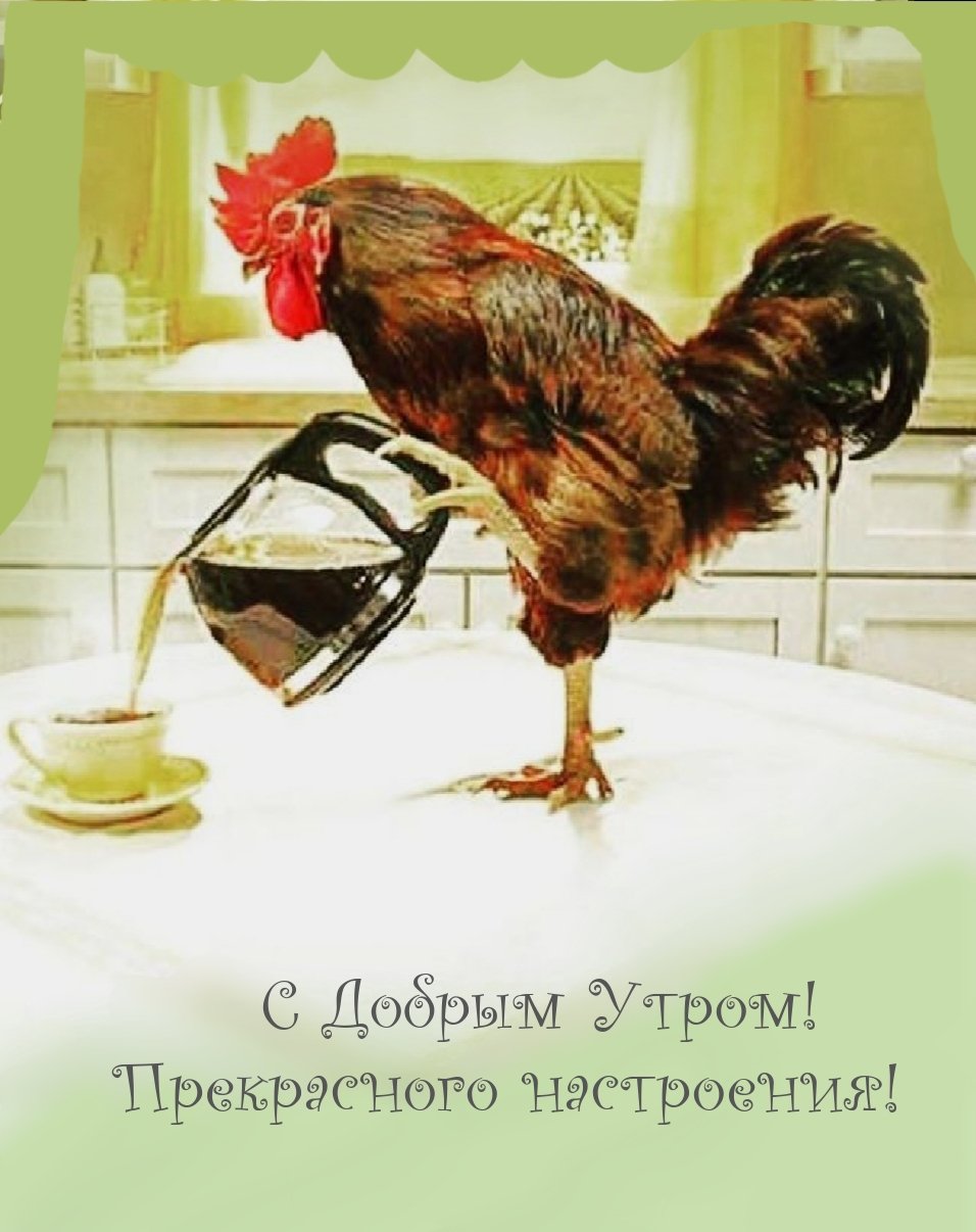 Необычные открытки с добрым утром