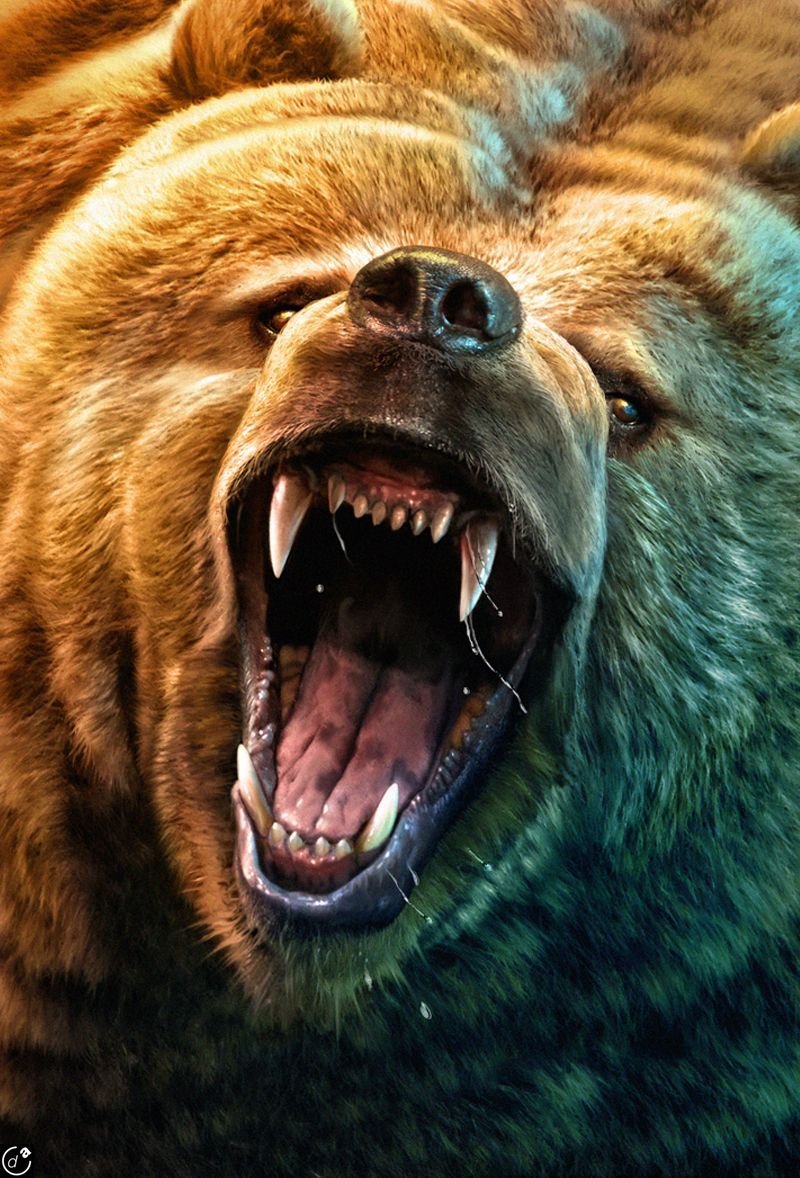 Кот мститель