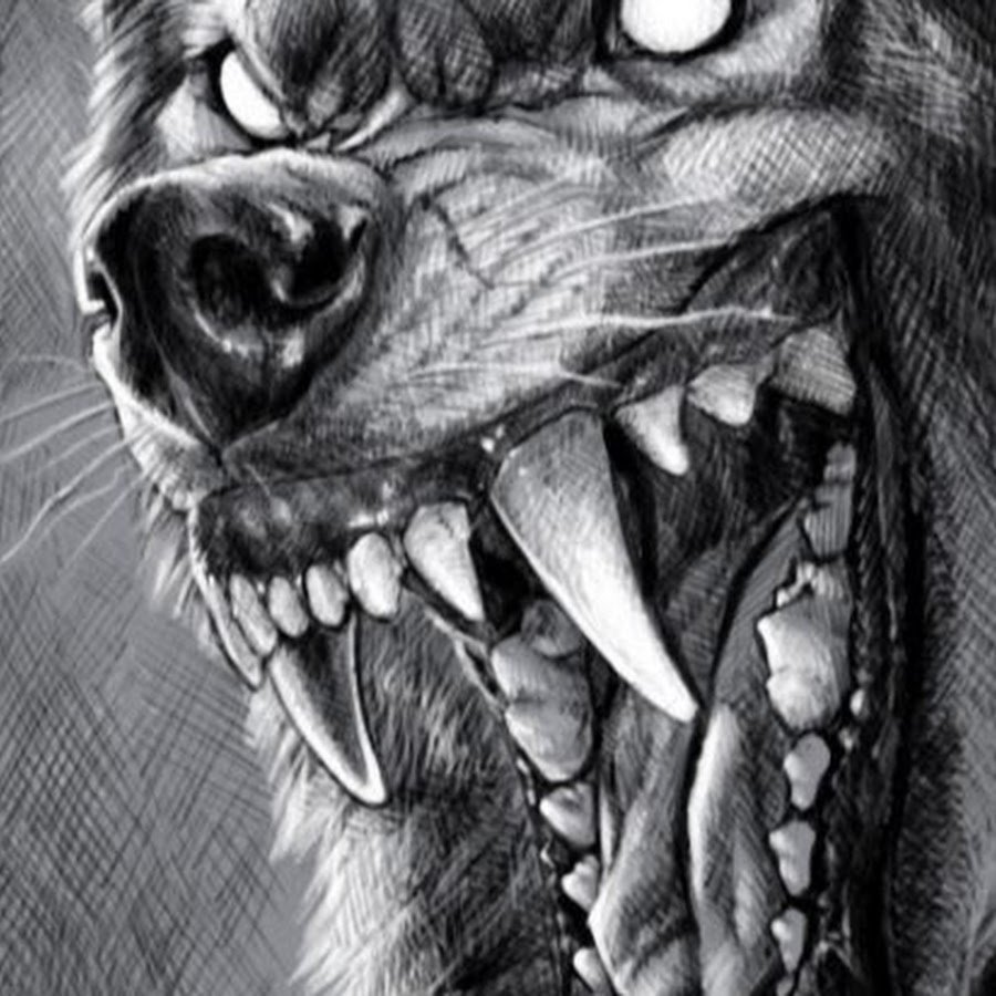 Морда кота арт