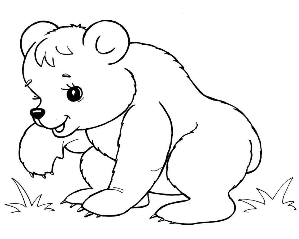 Brown Bear Brown Bear what do you see Colorbook