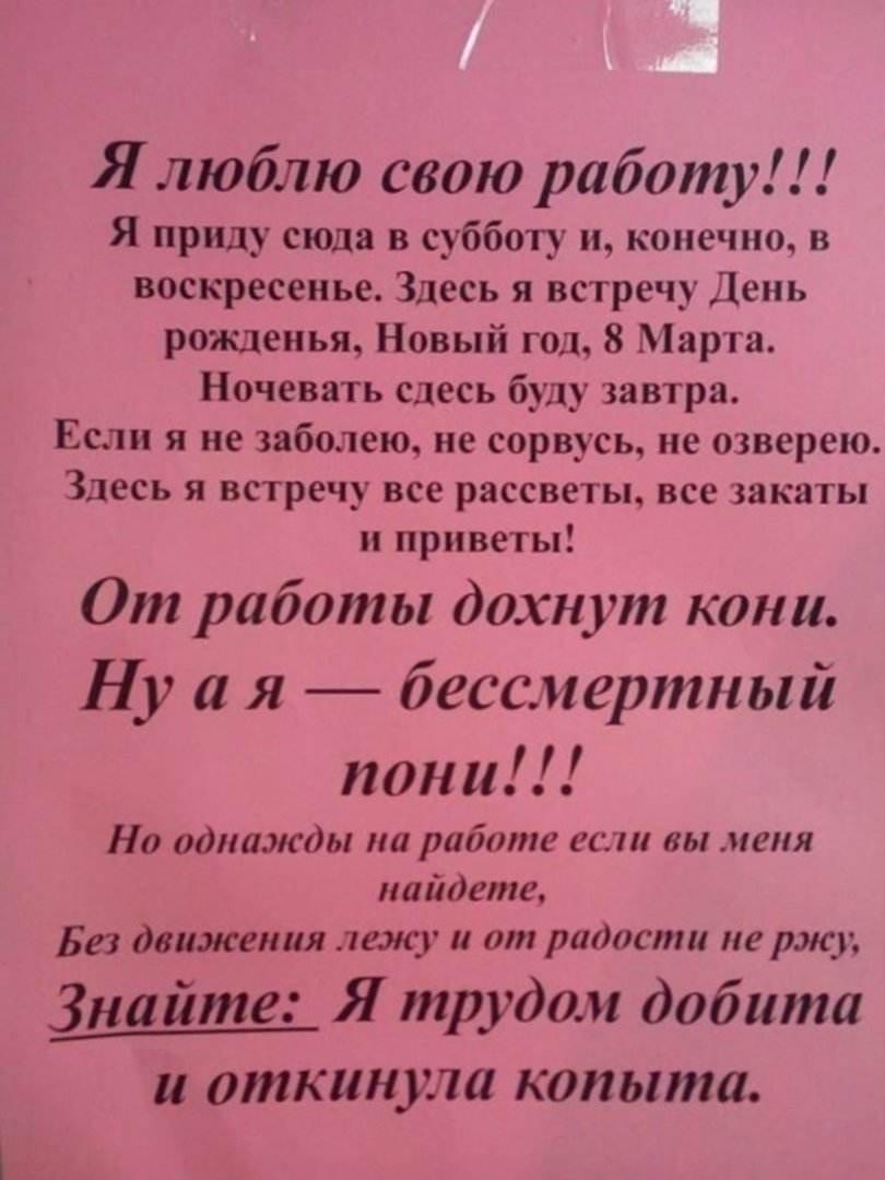 Лошадь за компом