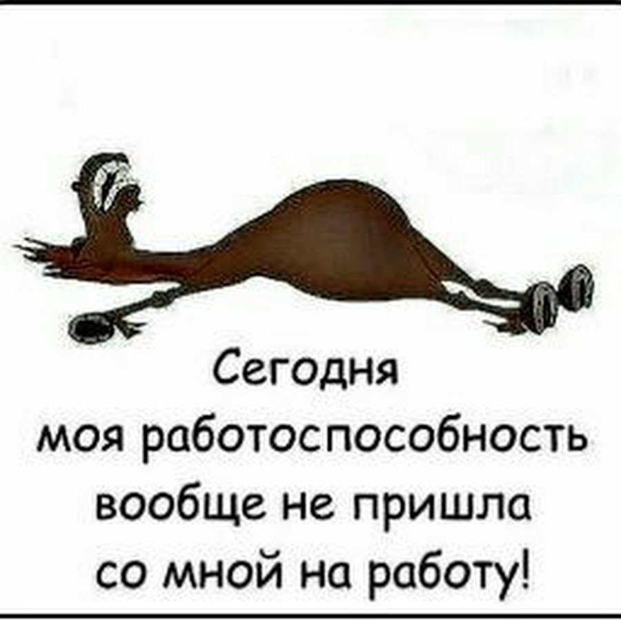 Человек на лошади