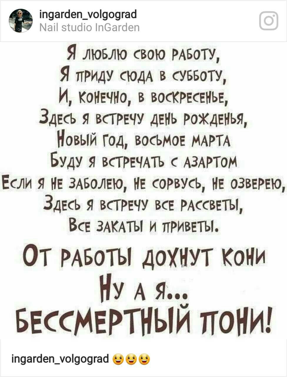 Я Бессмертный пони