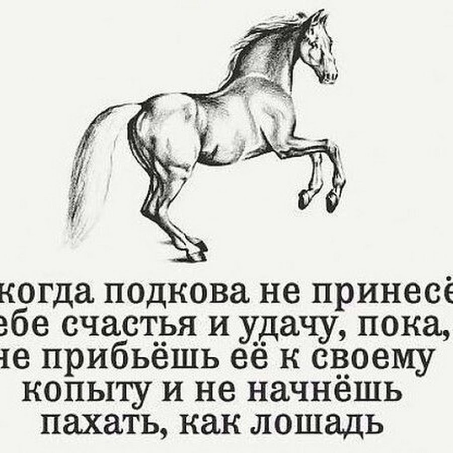 Стишок про Бессмертного пони