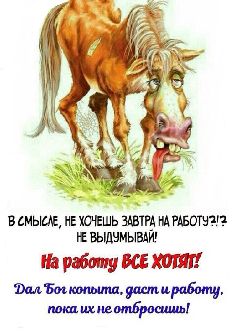 Смешной конь мультяшный