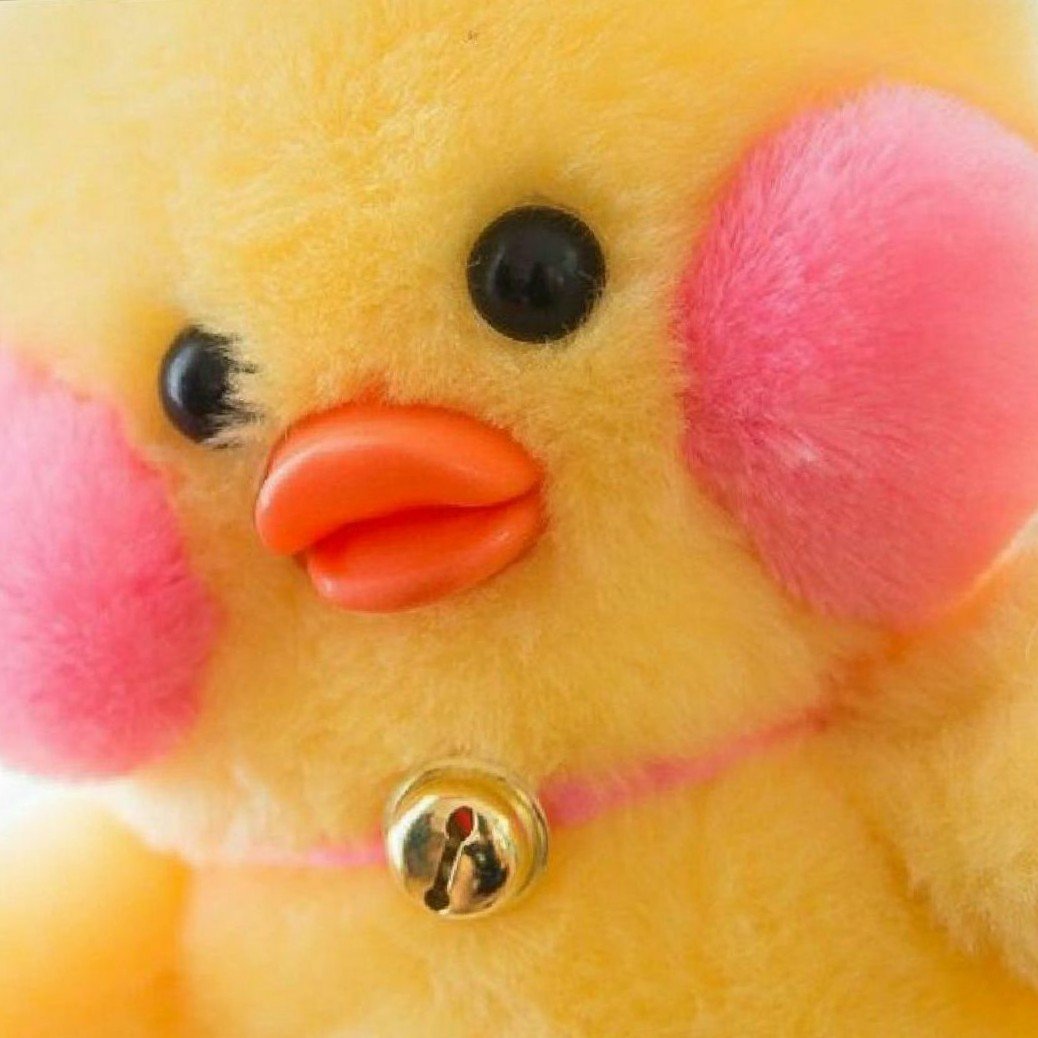 Уточка с розовыми щечками