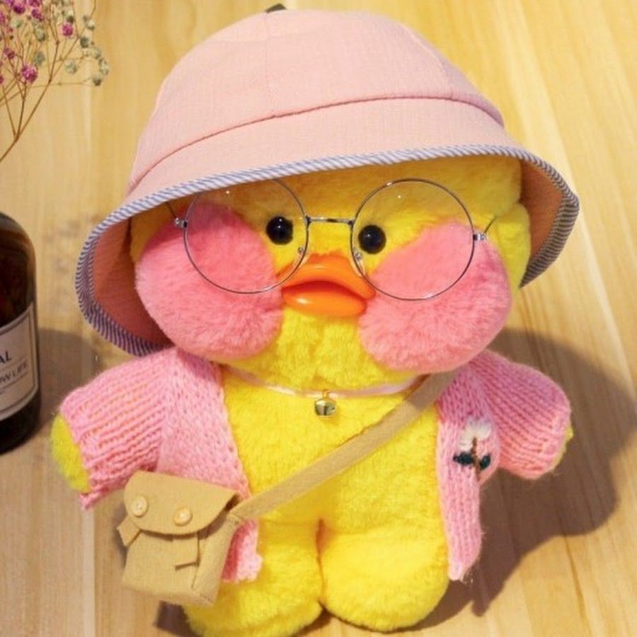 Одежда для уточки lalafanfan