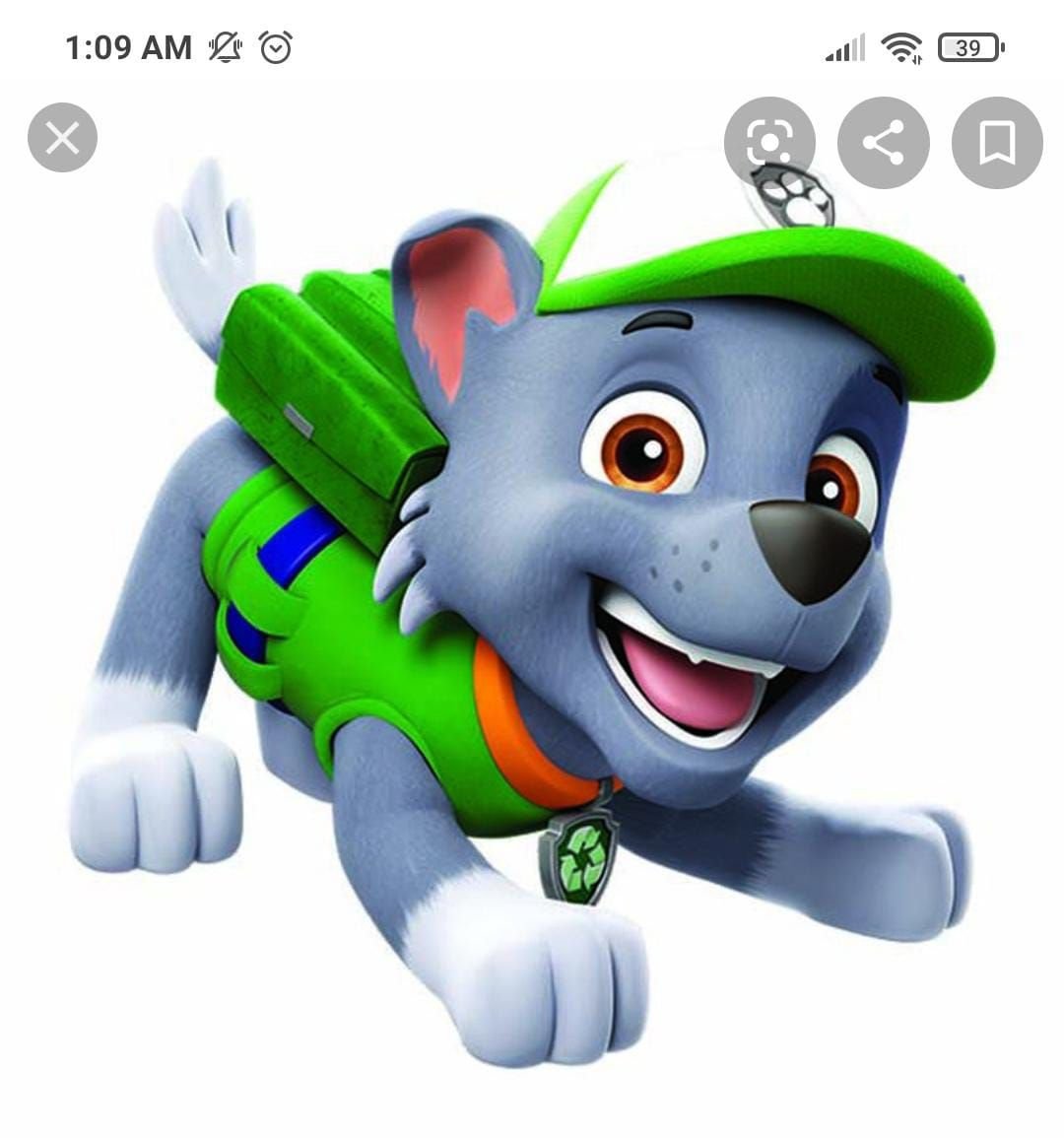 Paw Patrol Рокки