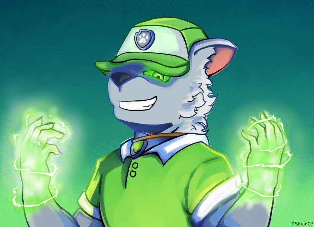 Рокки Щенячий патруль Рокки