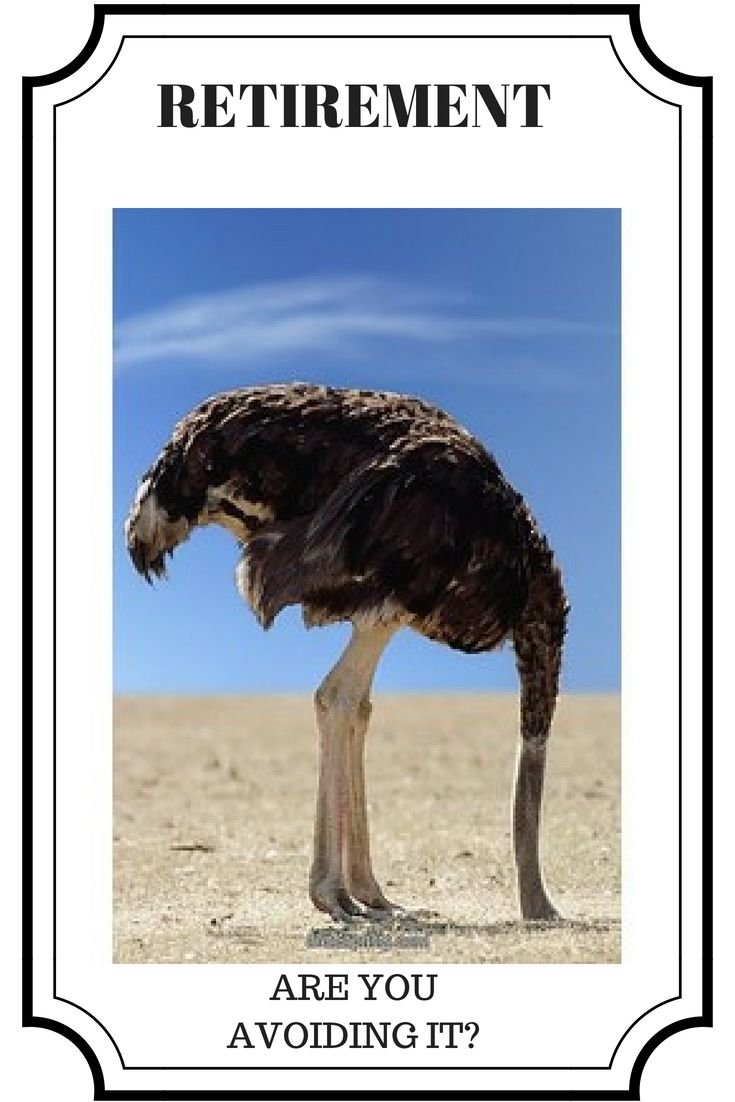 Страус голову в песок