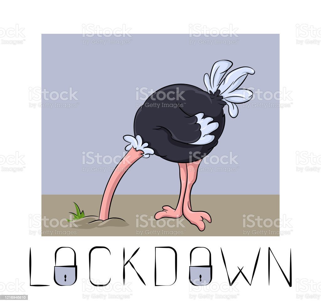 Страус прячет голову в песок гиф