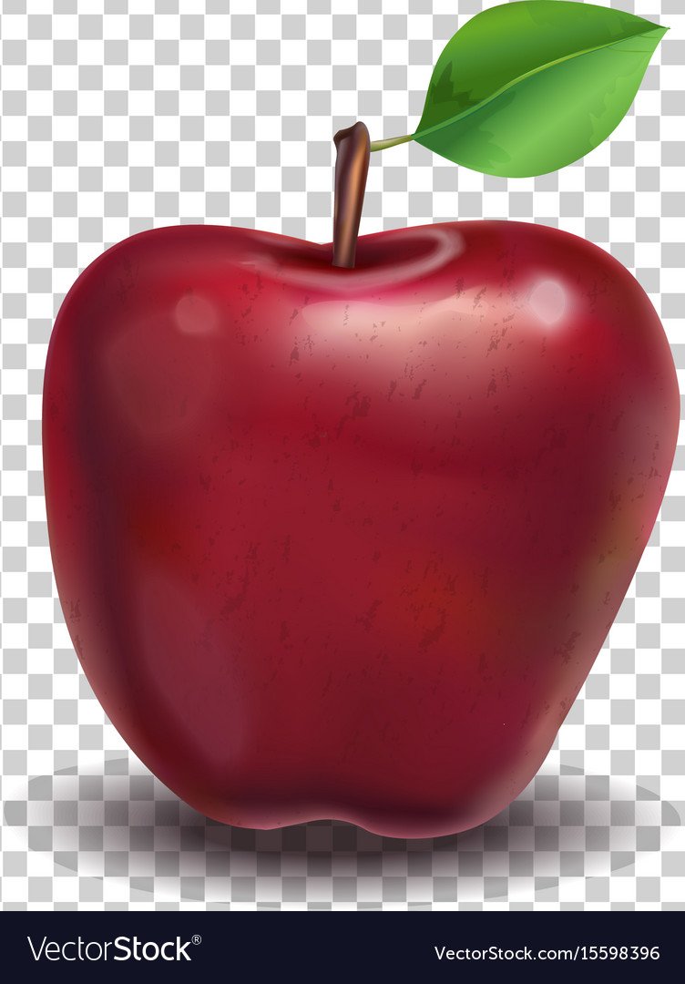 Realistic Apple vector