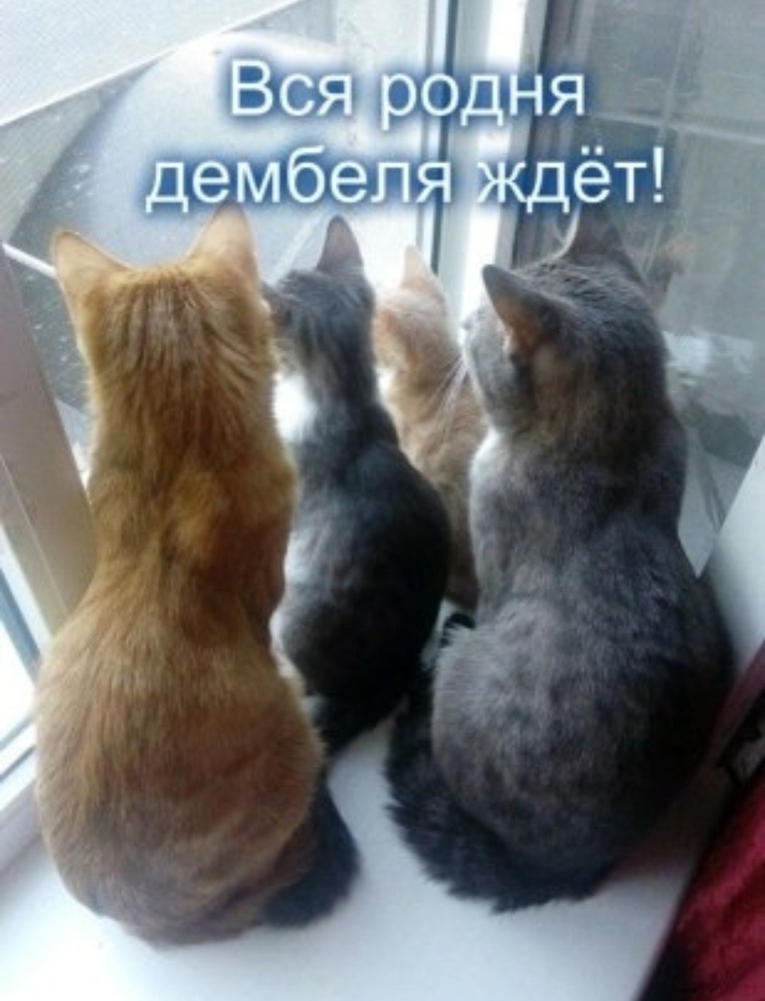 1 Месяц до дембеля