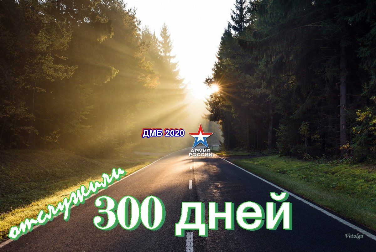 300 Дней до дембеля