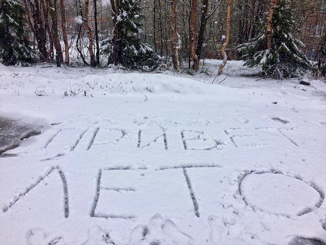 Шутки про снежную весну