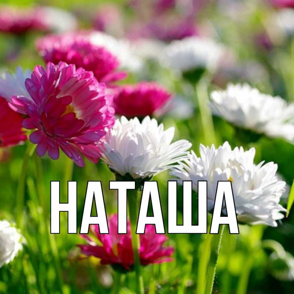 Цветы и кофе зефирки