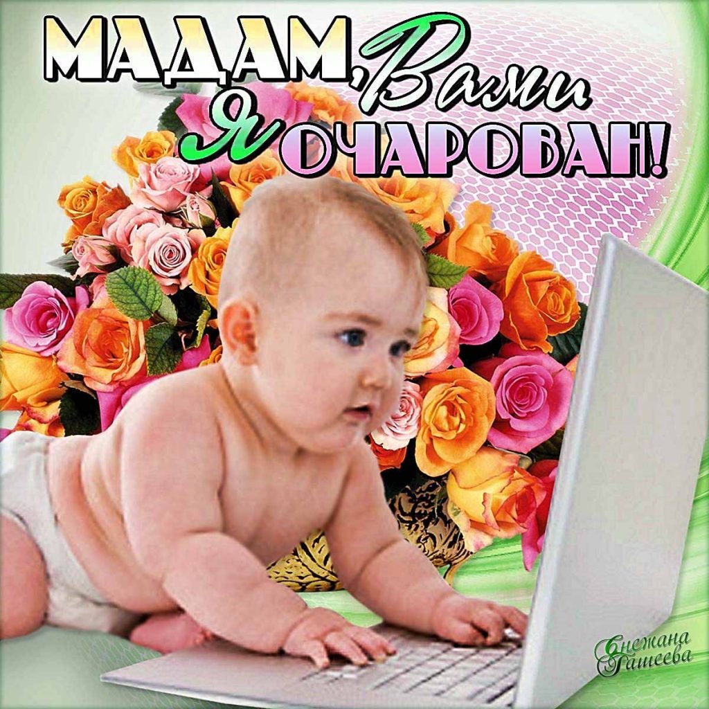 Похвала юмор