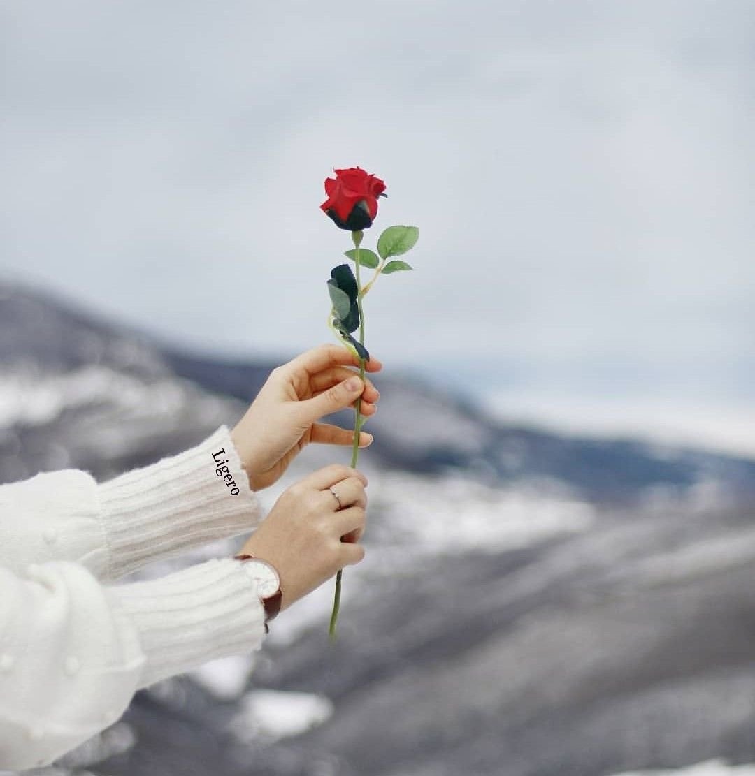 Зимние цветы