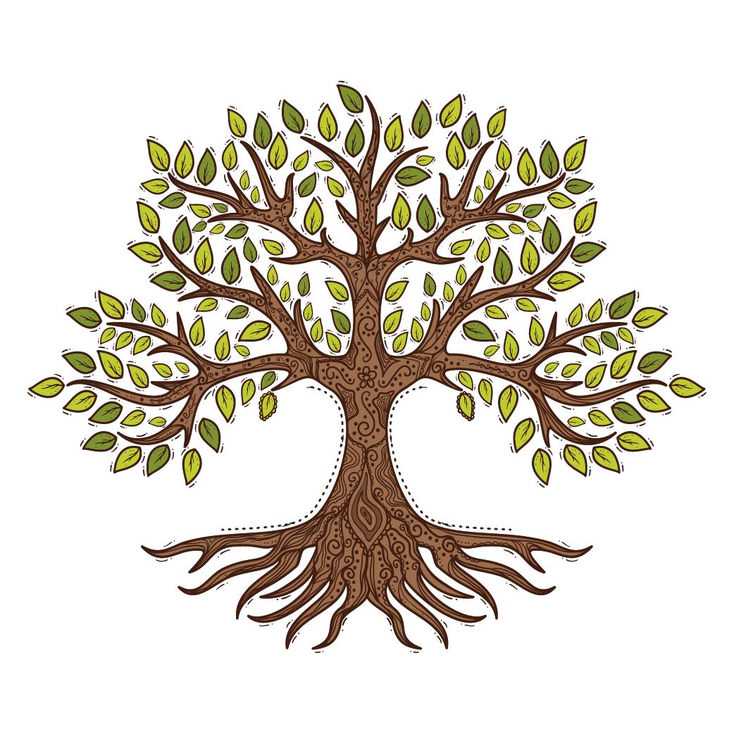 Дерево жизни на прозрачном фоне