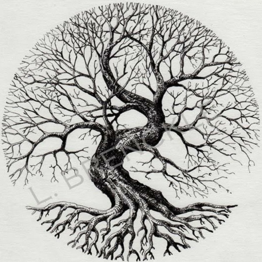 Древо картинка