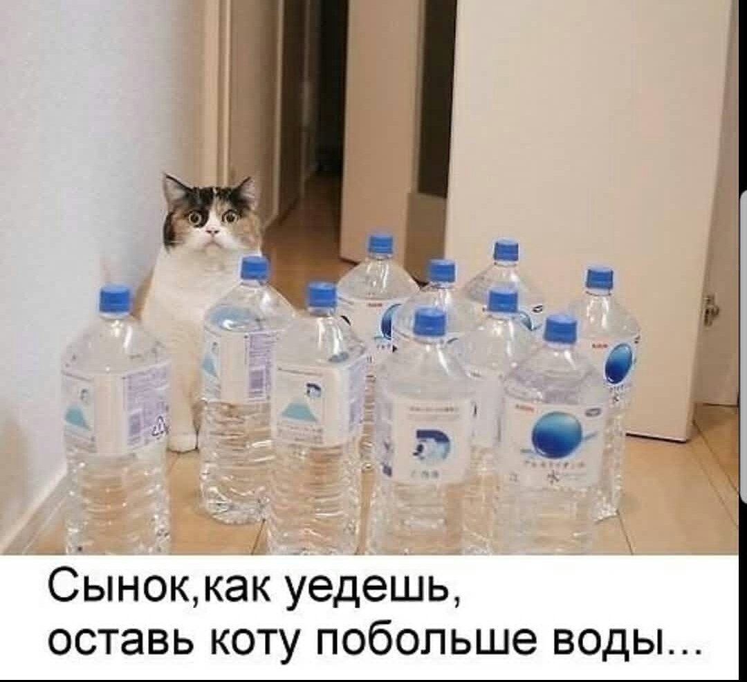 Шутки про воду