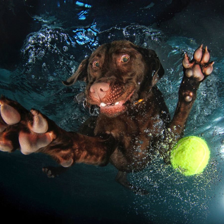 Вода смешные картинки