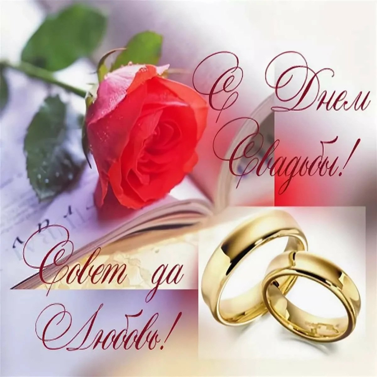 Бумажная свадьба 2 года