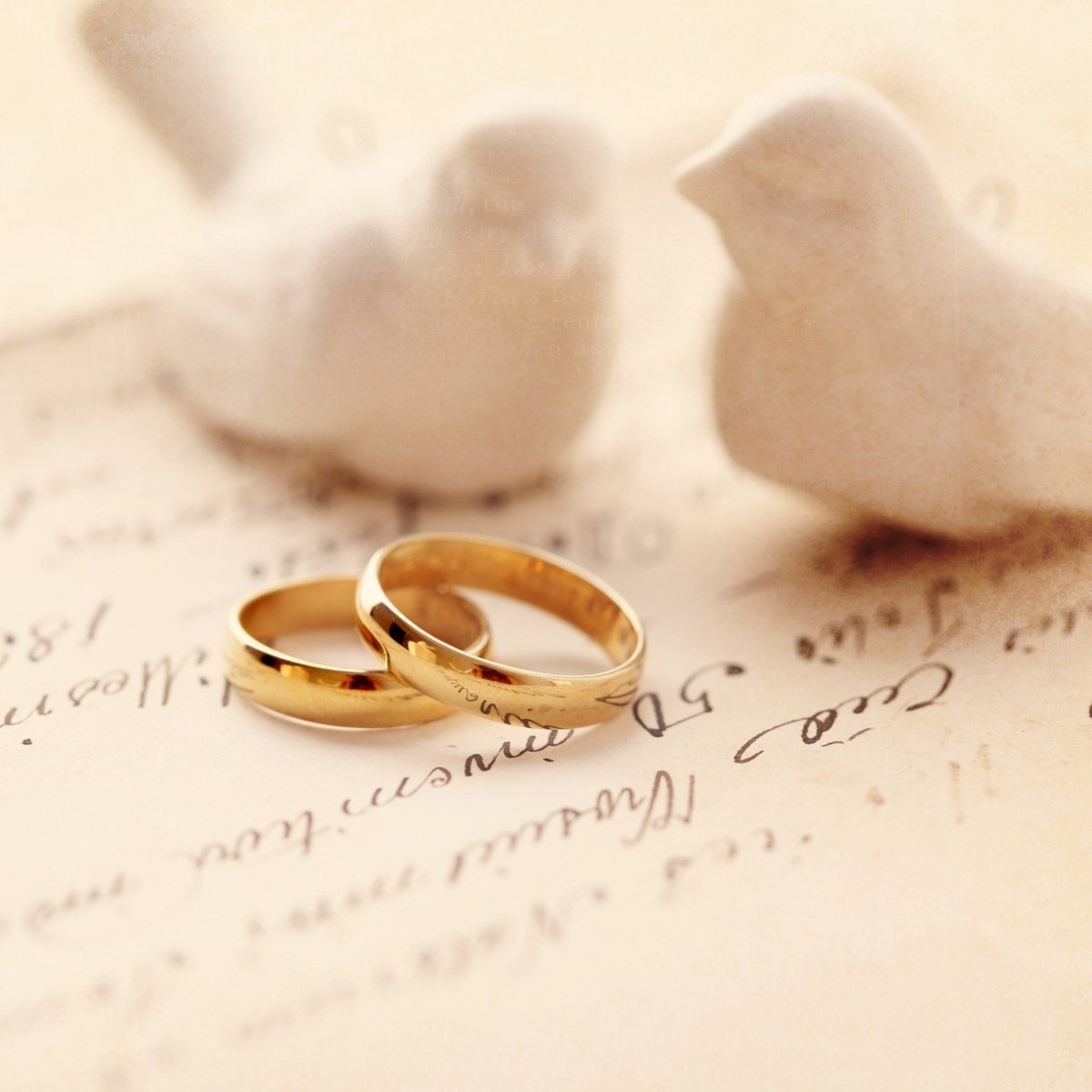 С бумажной годовщиной